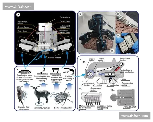 科学化体育训练方法创新与实用策略研究与应用探索